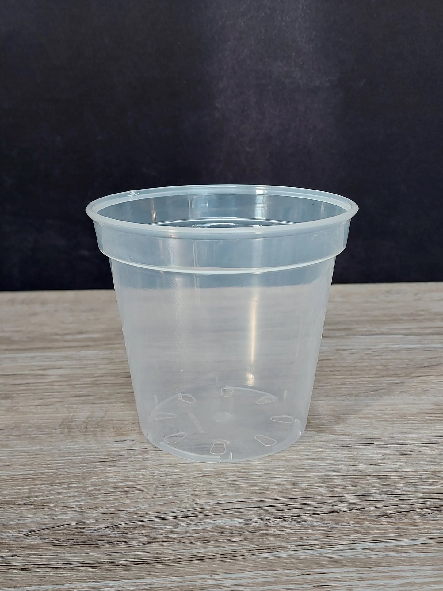 Clear Plant Pots - 10 Pack