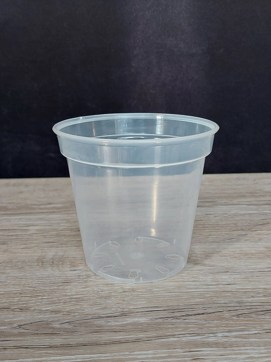 Clear Plant Pots - 10 Pack