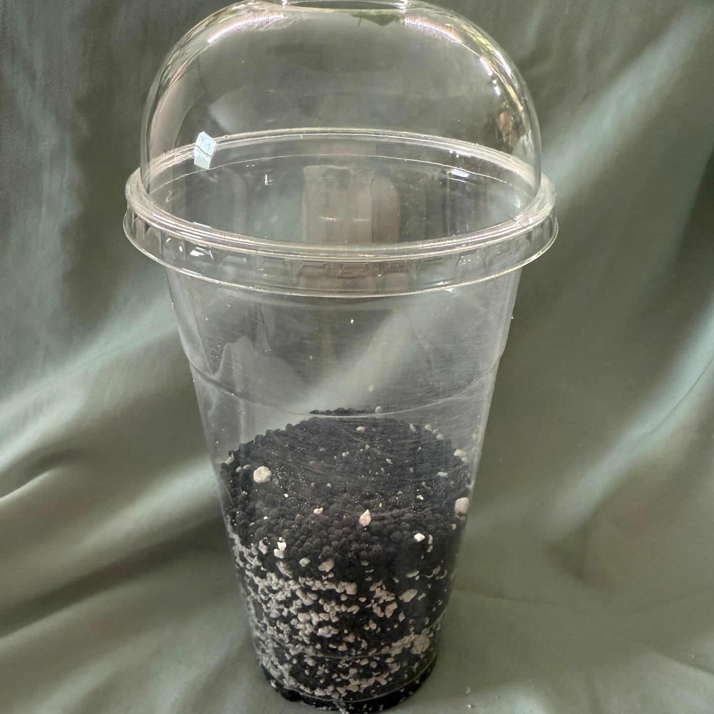 Tissue Culture Acclimation Kit