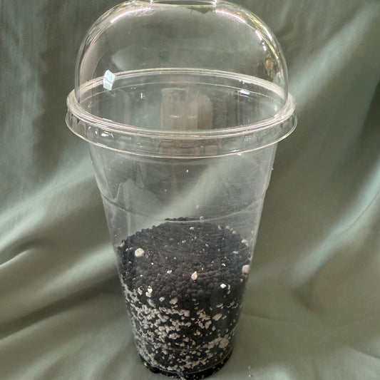 Tissue Culture Acclimation Kit